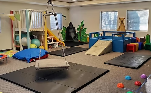 Our sensory gym with a platform swing, crash mats, climbing structure and quiet corners